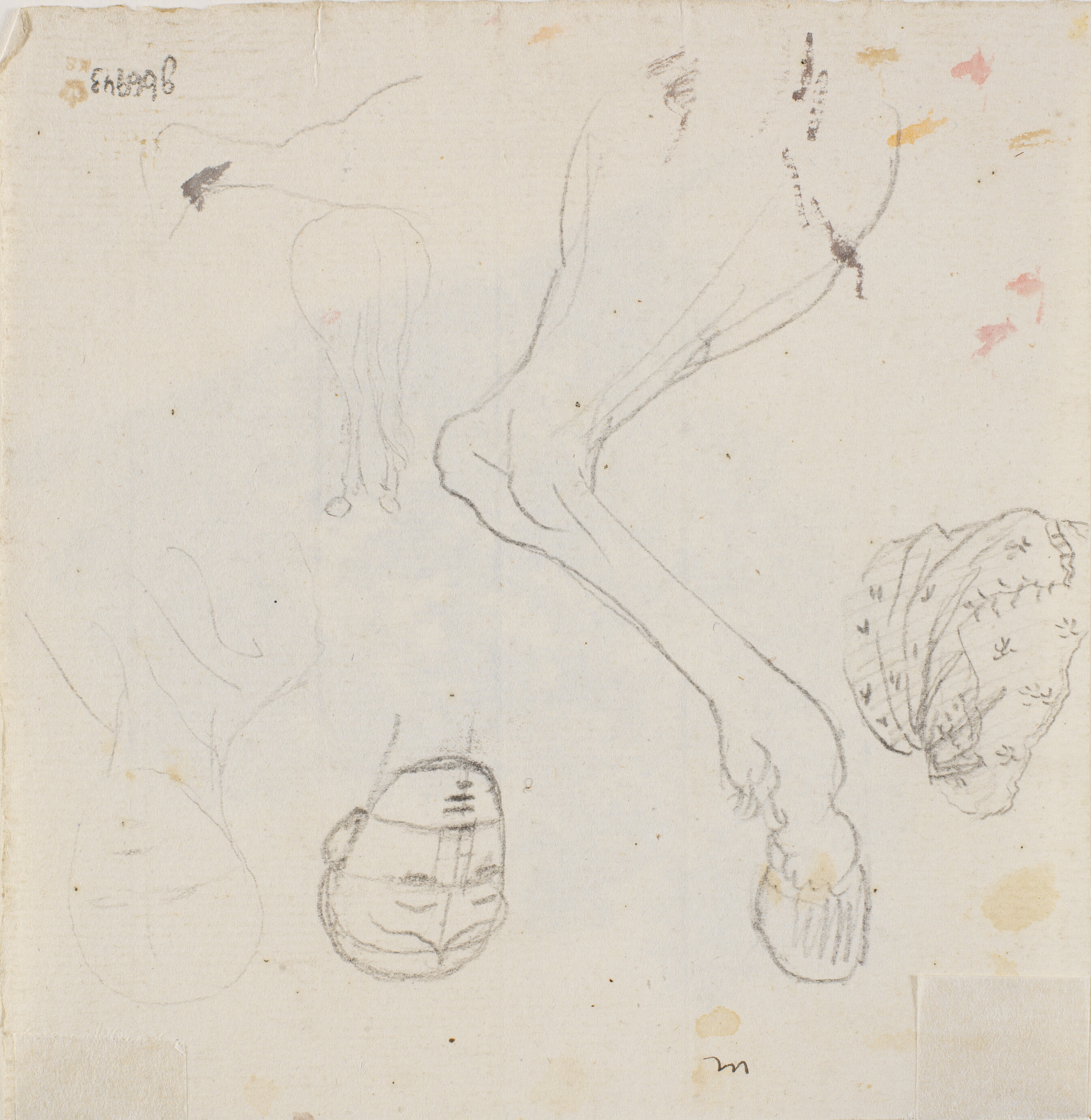 Forskellige blyantsrids, bl.a. hoveder og heste